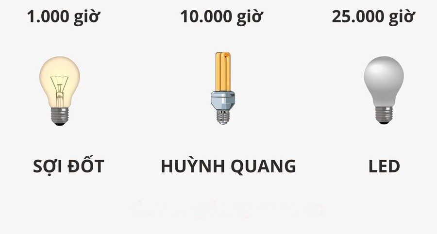 TUOI THO BONG DEN LED